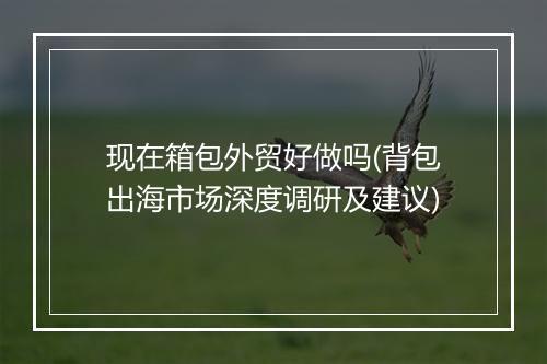 现在箱包外贸好做吗(背包出海市场深度调研及建议)