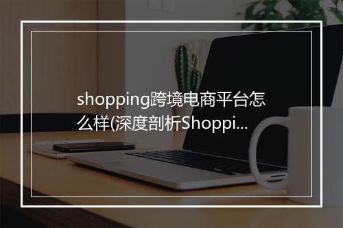 shopping跨境电商平台怎么样(深度剖析Shopping广告投放策略)