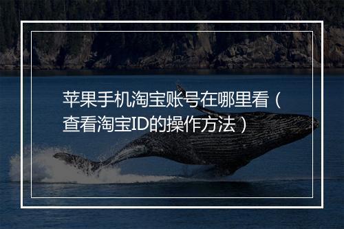 苹果手机淘宝账号在哪里看（查看淘宝ID的操作方法）