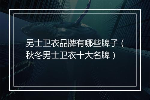 男士卫衣品牌有哪些牌子（秋冬男士卫衣十大名牌）