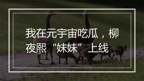 我在元宇宙吃瓜，柳夜熙“妹妹”上线