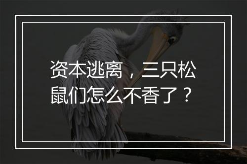 资本逃离，三只松鼠们怎么不香了？