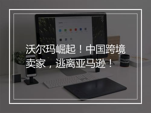 沃尔玛崛起！中国跨境卖家，逃离亚马逊！