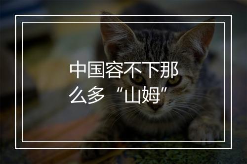 中国容不下那么多“山姆”