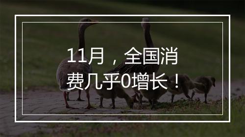 11月，全国消费几乎0增长！