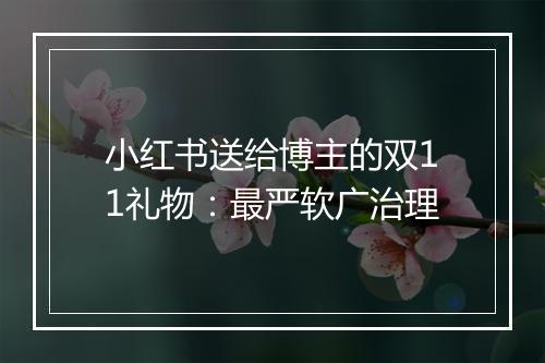 小红书送给博主的双11礼物：最严软广治理