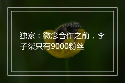 独家：微念合作之前，李子柒只有9000粉丝