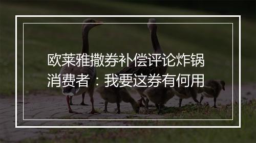 欧莱雅撒券补偿评论炸锅 消费者：我要这券有何用