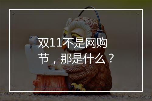 双11不是网购节，那是什么？