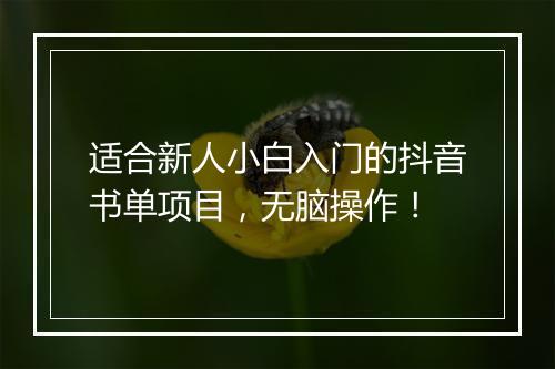适合新人小白入门的抖音书单项目，无脑操作！