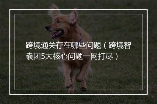 跨境通关存在哪些问题（跨境智囊团5大核心问题一网打尽）