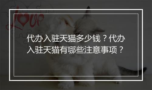 代办入驻天猫多少钱？代办入驻天猫有哪些注意事项？