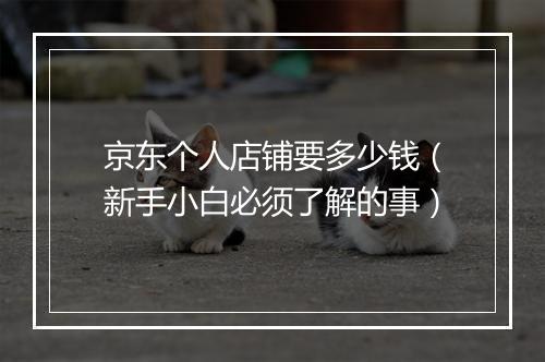 京东个人店铺要多少钱（新手小白必须了解的事）