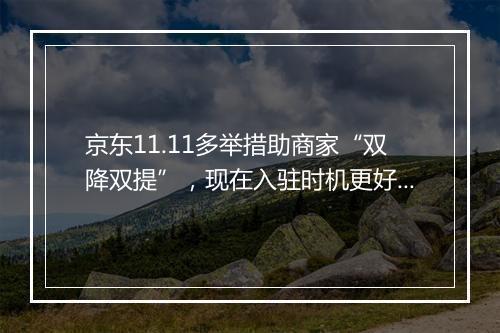 京东11.11多举措助商家“双降双提”，现在入驻时机更好！