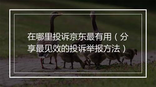 在哪里投诉京东最有用（分享最见效的投诉举报方法）