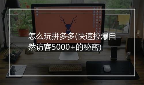 怎么玩拼多多(快速拉爆自然访客5000+的秘密)