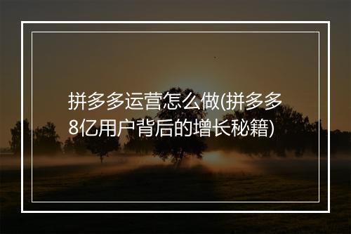 拼多多运营怎么做(拼多多8亿用户背后的增长秘籍)