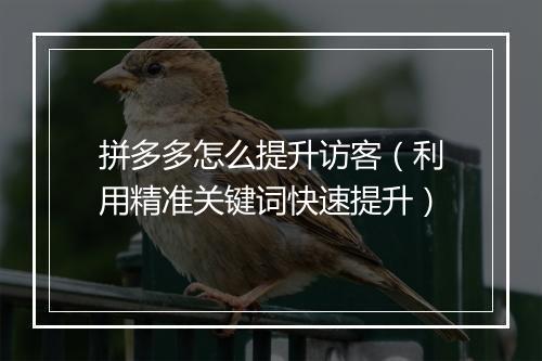拼多多怎么提升访客（利用精准关键词快速提升）