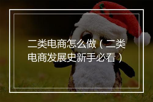 二类电商怎么做（二类电商发展史新手必看）