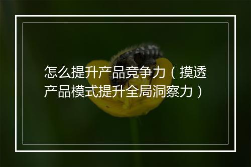 怎么提升产品竞争力（摸透产品模式提升全局洞察力）