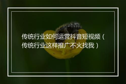传统行业如何运营抖音短视频（传统行业这样推广不火找我）