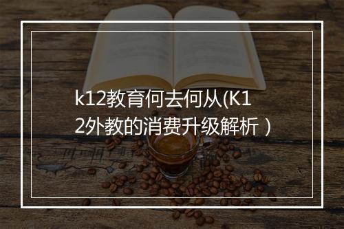 k12教育何去何从(K12外教的消费升级解析）