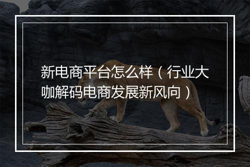 新电商平台怎么样（行业大咖解码电商发展新风向）