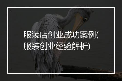 服装店创业成功案例(服装创业经验解析)