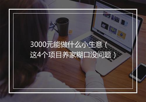 3000元能做什么小生意（这4个项目养家糊口没问题）