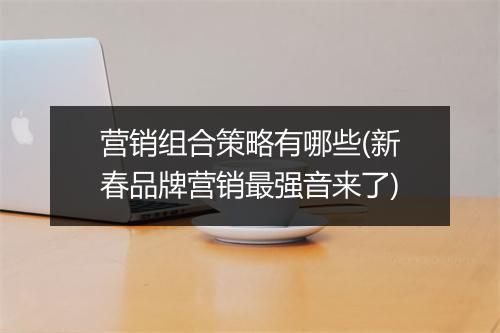 营销组合策略有哪些(新春品牌营销最强音来了)