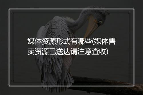 媒体资源形式有哪些(媒体售卖资源已送达请注意查收)