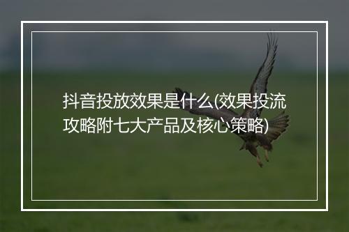 抖音投放效果是什么(效果投流攻略附七大产品及核心策略)