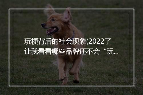 玩梗背后的社会现象(2022了让我看看哪些品牌还不会“玩梗”)