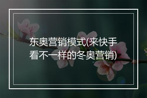 东奥营销模式(来快手看不一样的冬奥营销)