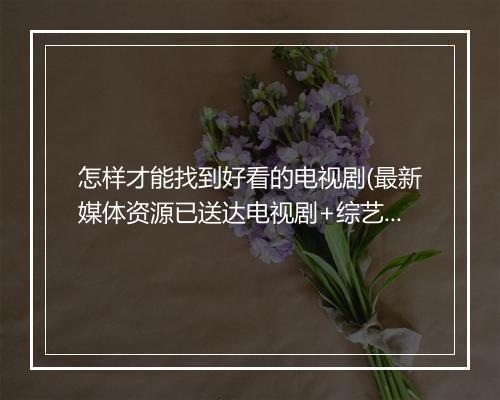 怎样才能找到好看的电视剧(最新媒体资源已送达电视剧+综艺)