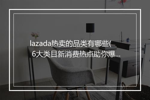 lazada热卖的品类有哪些( 6大类目新消费热点助你爆单)