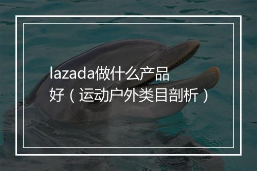 lazada做什么产品好（运动户外类目剖析）