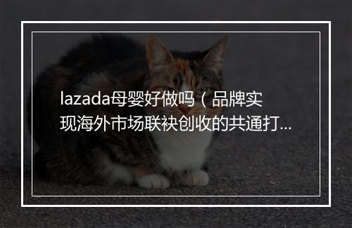 lazada母婴好做吗（品牌实现海外市场联袂创收的共通打法）