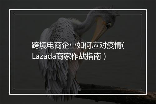 跨境电商企业如何应对疫情(Lazada商家作战指南）