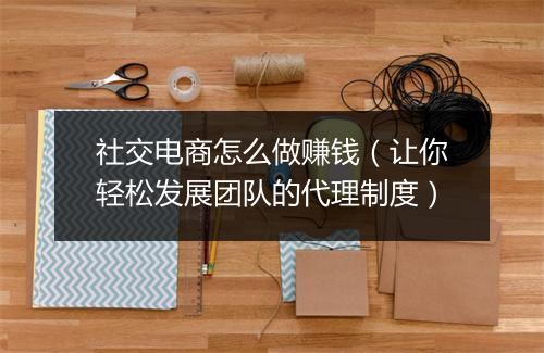 社交电商怎么做赚钱（让你轻松发展团队的代理制度）