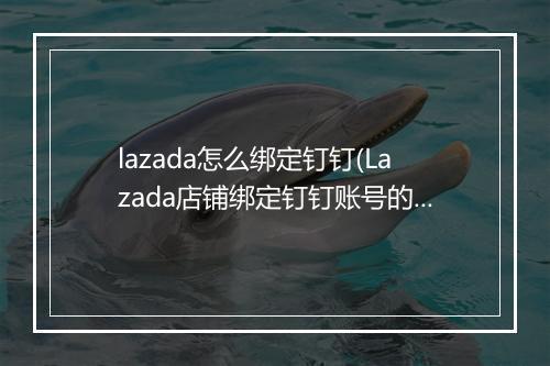 lazada怎么绑定钉钉(Lazada店铺绑定钉钉账号的具体步骤)
