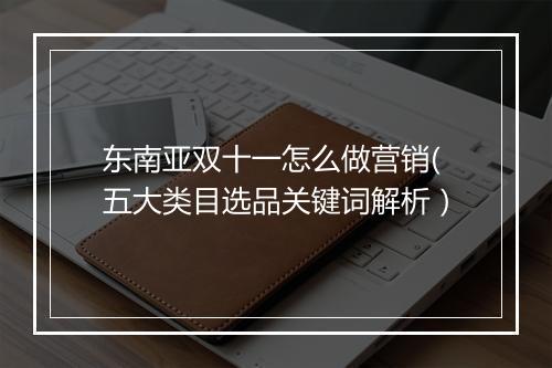 东南亚双十一怎么做营销(五大类目选品关键词解析）