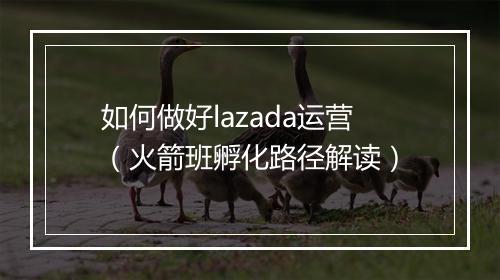 如何做好lazada运营（火箭班孵化路径解读）