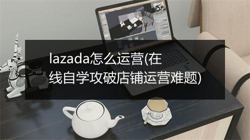 lazada怎么运营(在线自学攻破店铺运营难题)