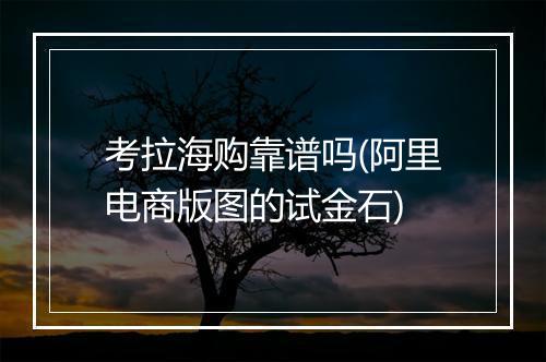 考拉海购靠谱吗(阿里电商版图的试金石)