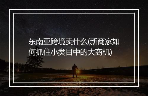 东南亚跨境卖什么(新商家如何抓住小类目中的大商机)