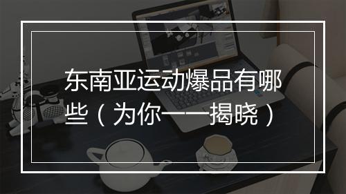 东南亚运动爆品有哪些（为你一一揭晓）
