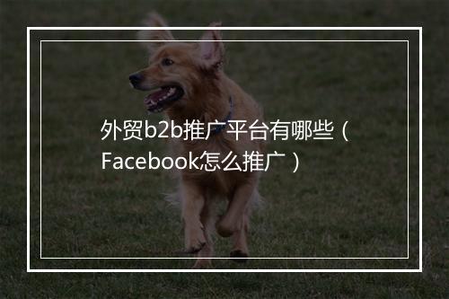 外贸b2b推广平台有哪些（Facebook怎么推广）