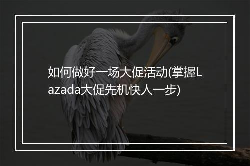 如何做好一场大促活动(掌握Lazada大促先机快人一步)
