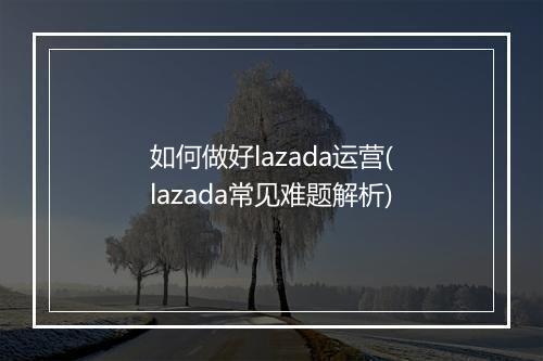 如何做好lazada运营(lazada常见难题解析)